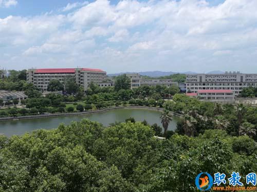 1468374593489041323.jpg 22.jpg