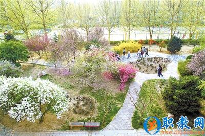 1468476329951056574.jpg 11.jpg